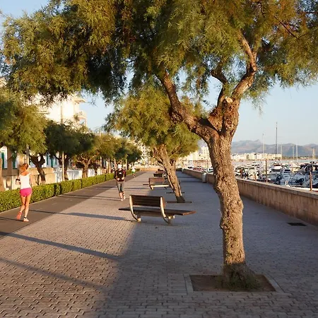 מלון Js Sol De Picafort - Adults Only 3*