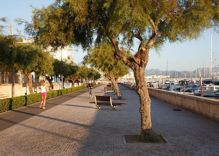 Hotell Js Sol De Picafort - Adults Only 3*