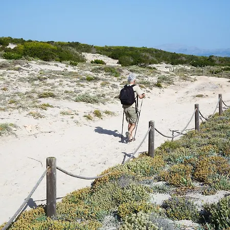 Js Sol De Picafort - Adults Only