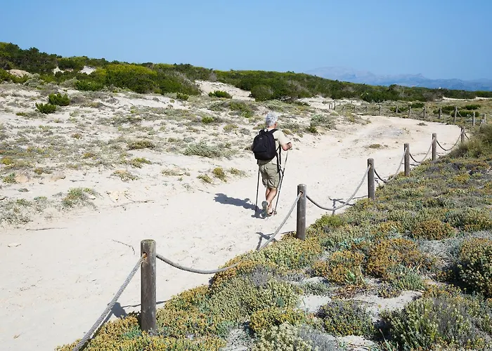 Js Sol De Picafort - Adults Only